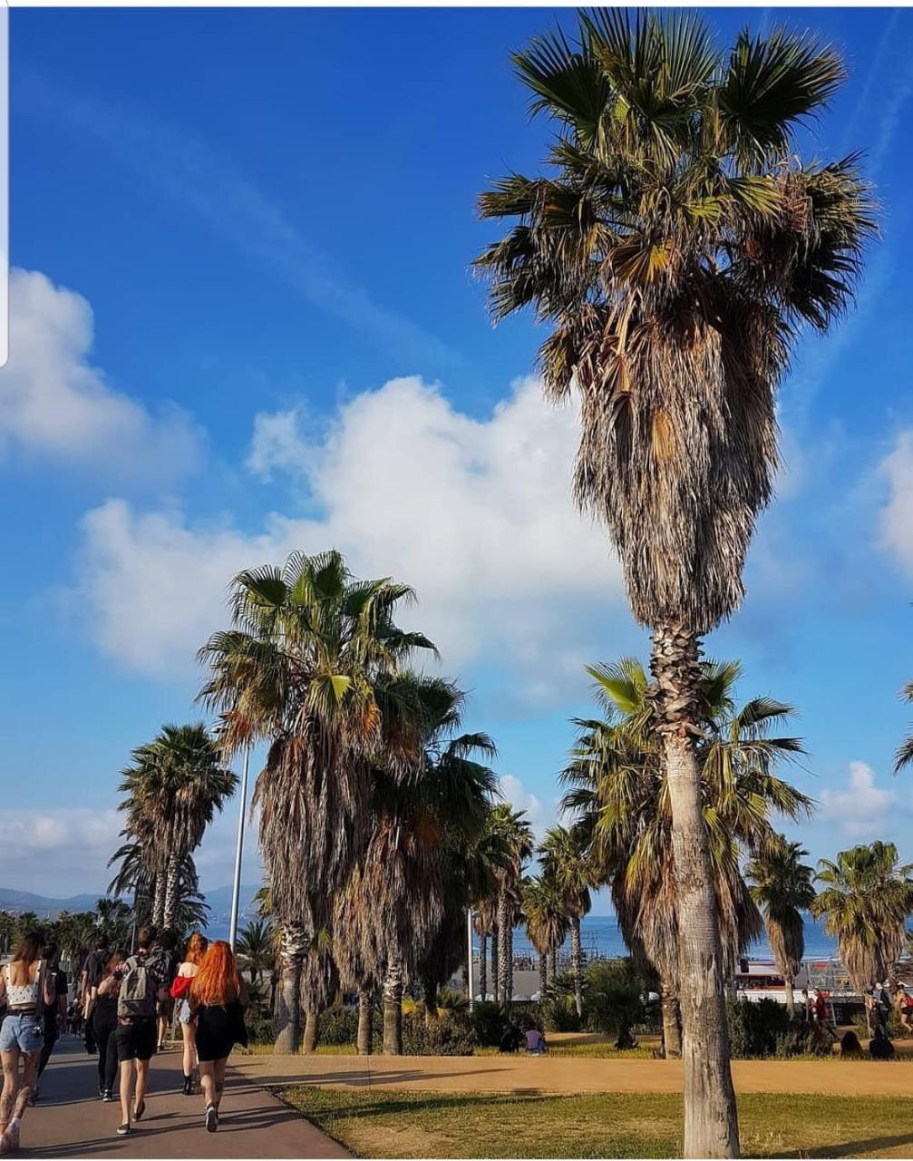 Lodging Apartments Forum 15 - Barcelona Forum Apartment With Sea View エクステリア 写真